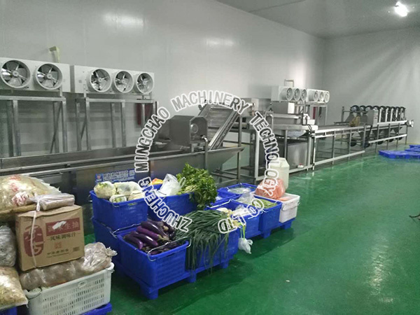 蔬菜清洗機(jī) (8).jpg