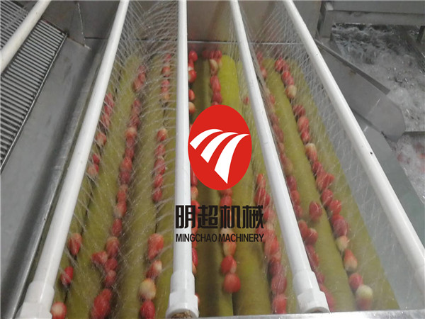 草莓清洗機 (2).jpg