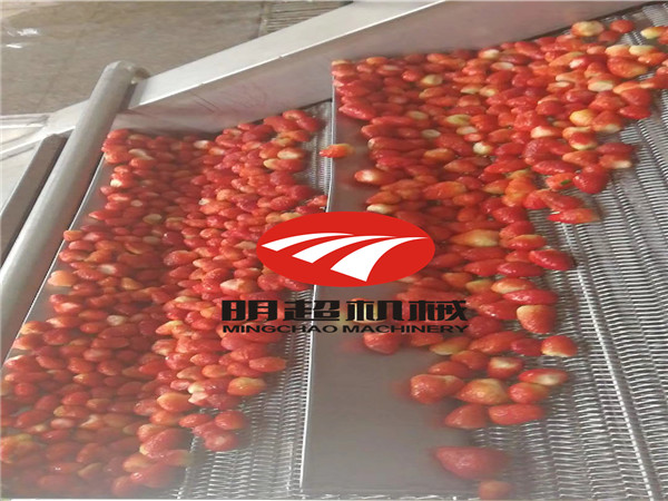 草莓清洗機.jpg