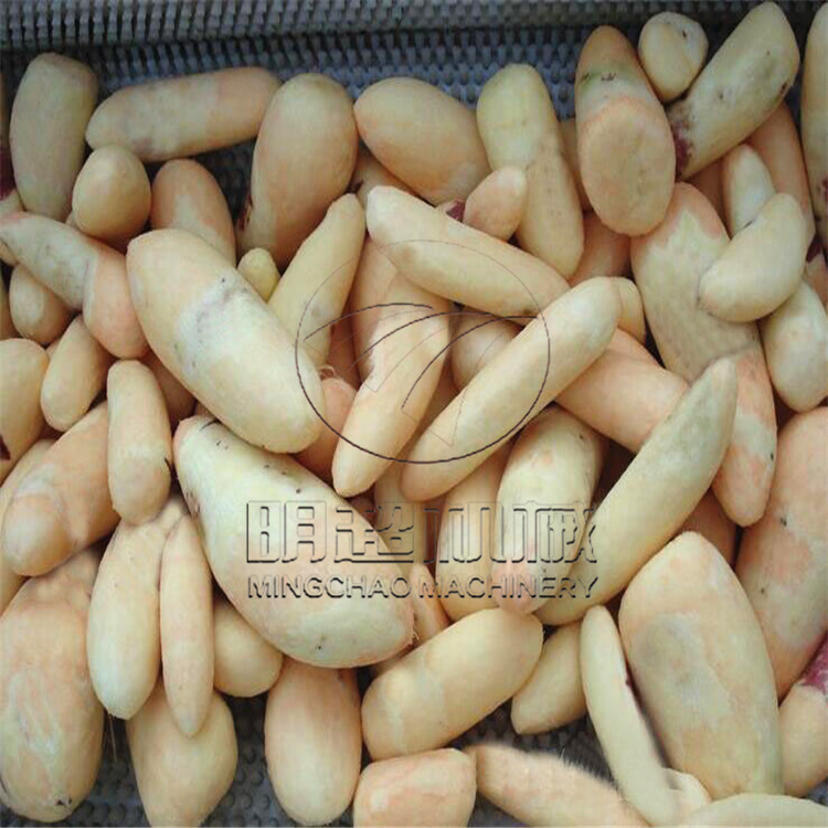 紅薯脫皮清洗機(jī) (23).jpg