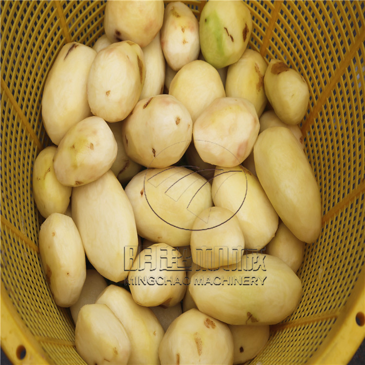 紅薯削皮機(jī) (1).jpg