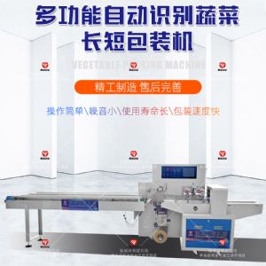 蔬菜包裝機(jī) 枕式包裝機(jī)