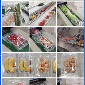 黃瓜蔬菜包裝機(jī) 小食品連續(xù)式包裝機(jī)