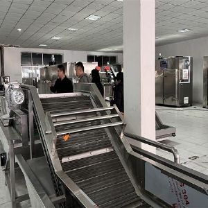 蔬菜清洗風(fēng)干流水線